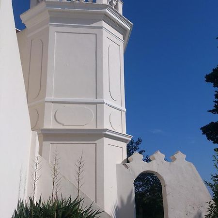 Villa-Chateau Les Terrasses - Tamaris, Plage Des Sablettes, Mer Au Bas De La Propriete ラ・セーヌ・シュル・メール エクステリア 写真