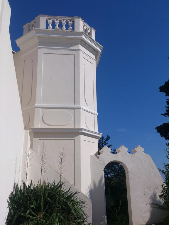 Villa-Chateau Les Terrasses - Tamaris, Plage Des Sablettes, Mer Au Bas De La Propriete ラ・セーヌ・シュル・メール エクステリア 写真