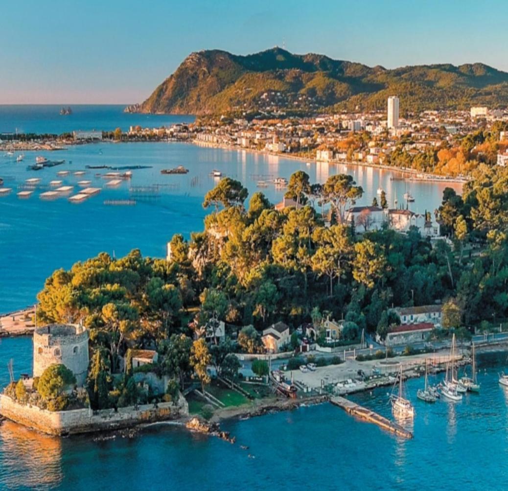 Villa-Chateau Les Terrasses - Tamaris, Plage Des Sablettes, Mer Au Bas De La Propriete ラ・セーヌ・シュル・メール エクステリア 写真