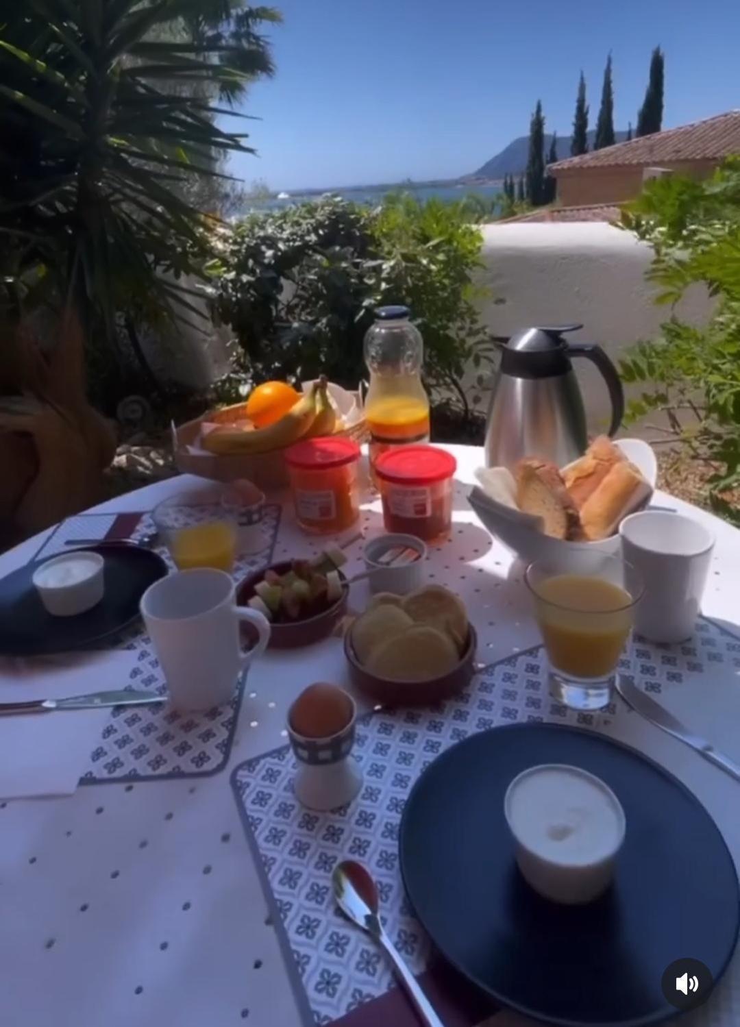 Villa-Chateau Les Terrasses - Tamaris, Plage Des Sablettes, Mer Au Bas De La Propriete ラ・セーヌ・シュル・メール エクステリア 写真