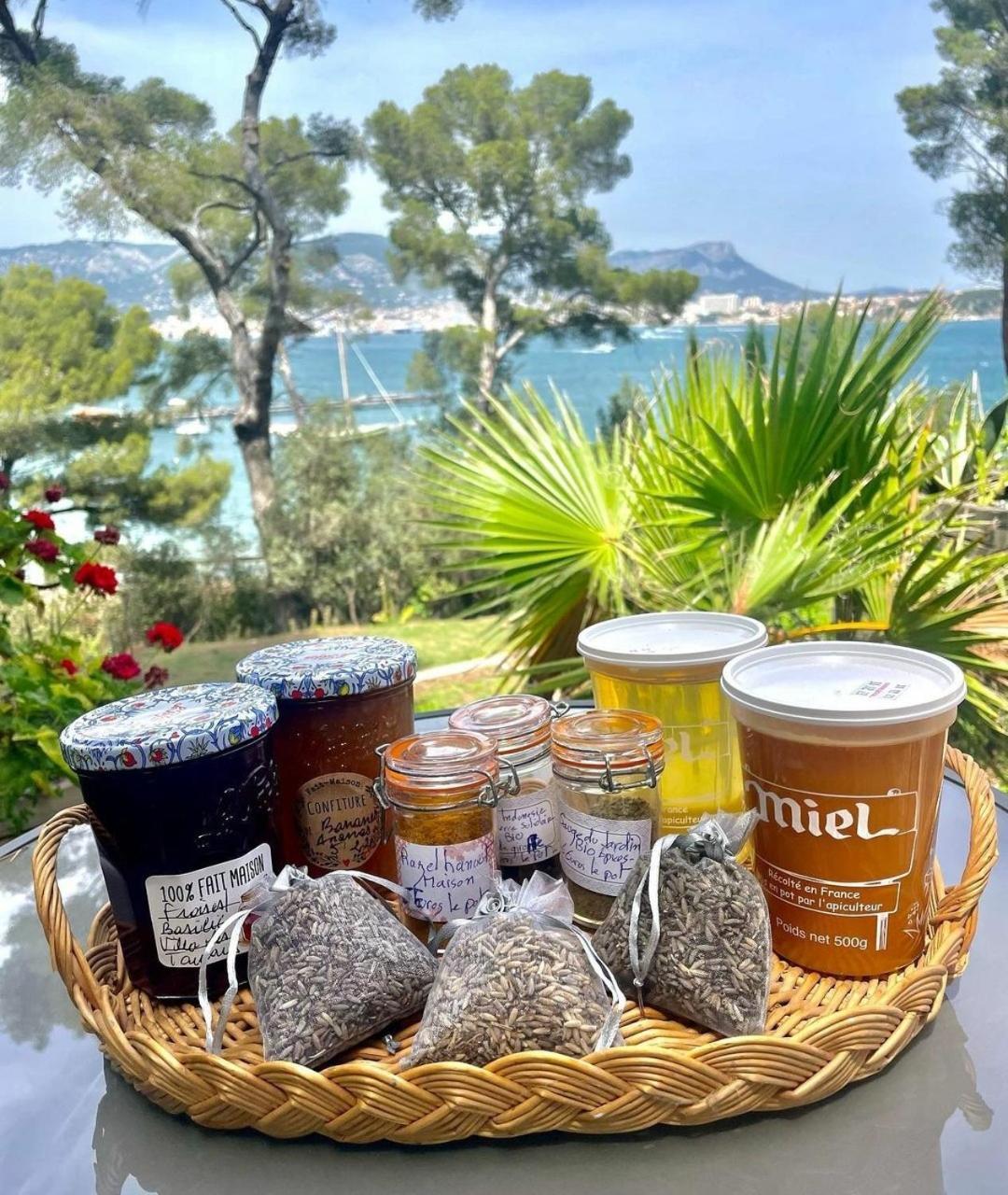 Villa-Chateau Les Terrasses - Tamaris, Plage Des Sablettes, Mer Au Bas De La Propriete ラ・セーヌ・シュル・メール エクステリア 写真