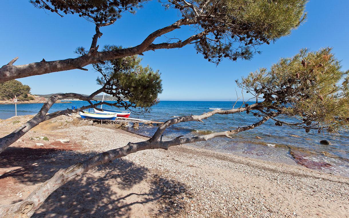 Villa-Chateau Les Terrasses - Tamaris, Plage Des Sablettes, Mer Au Bas De La Propriete ラ・セーヌ・シュル・メール エクステリア 写真